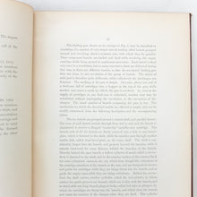 Ordnance Memoranda No. 17 - Gatling Guns (1874)