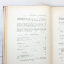 Ordnance Memoranda No. 17 - Gatling Guns (1874)