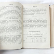 Handbook of Mesopotamia (1916-17) Volumes I - IV