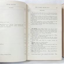 Handbook of Mesopotamia (1916-17) Volumes I - IV