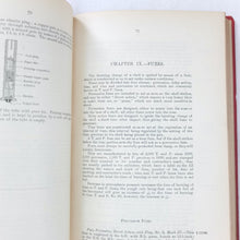 Treatise on Ammunition (1905)