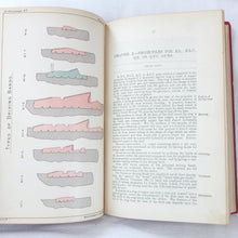 Treatise on Ammunition (1905)