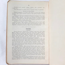 WW1 Pilot's Flying Manual & RFC Technical Notes