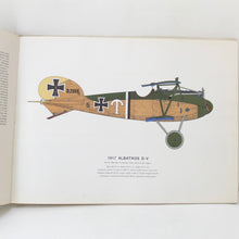 WW1 Early Aeroplanes | Albatross | Roy Cross